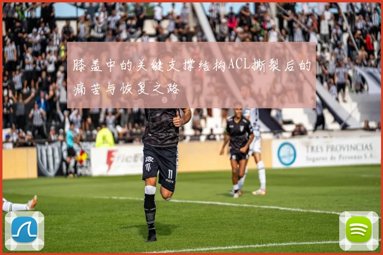 膝盖中的关键支撑结构ACL撕裂后的痛苦与恢复之路